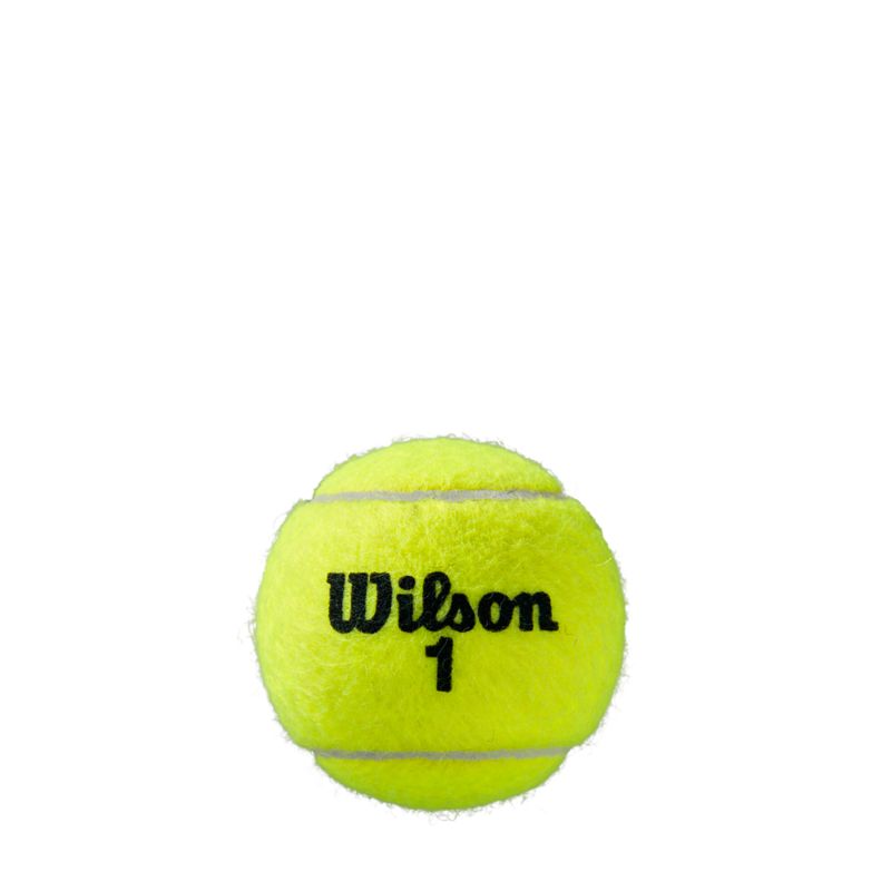 Wilson Roland Garros All Court 4er Tennisball