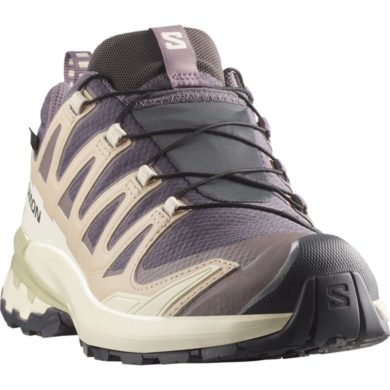 Salomon XA PRO 3D V9 GTX Laufschuh