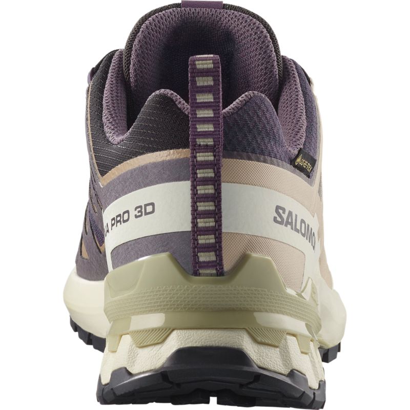 Salomon XA PRO 3D V9 GTX Laufschuh