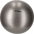 X Fact Gym Ball 65cm Gymnastikball