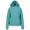 Benger TECH FLEECE HOODY Pullover