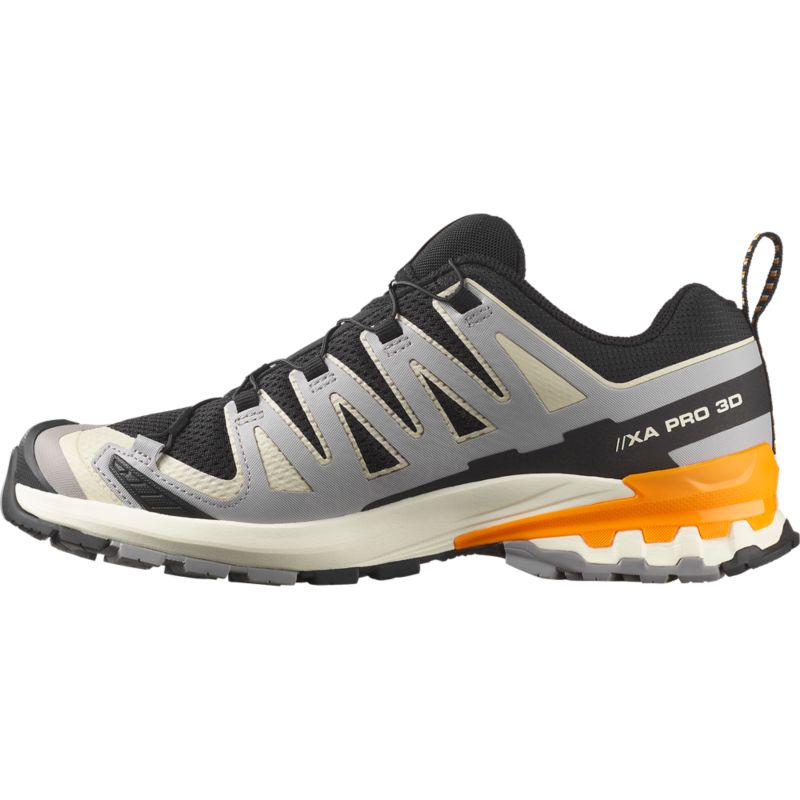Salomon XA PRO 3D V9 Laufschuh
