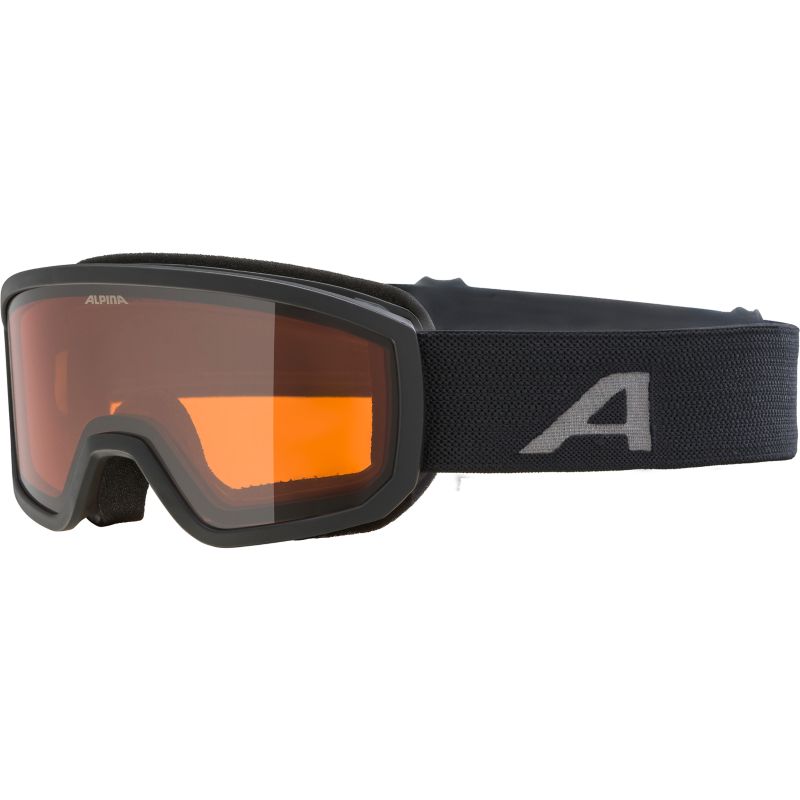 Alpina SCARABEO Skibrille