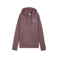 Puma PUMA CLASS Relaxed Hoodie FL Pullover