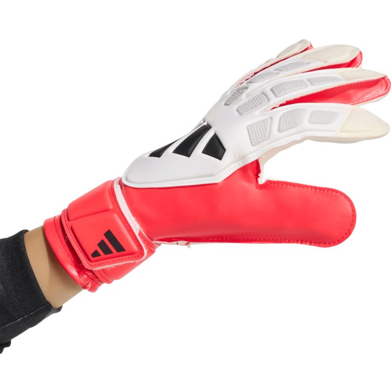 Adidas Predator Training J Handschuh