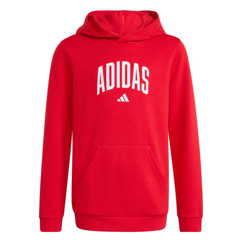 Adidas Codes Collegiate Graphic Hoodie Pullover