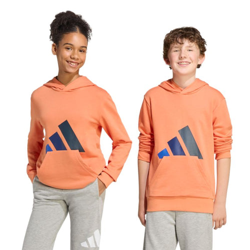 Adidas Essentials Kids Hoodie Pullover