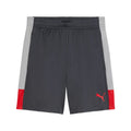 Puma IndividualLIGA Training Shorts Funktionsshort