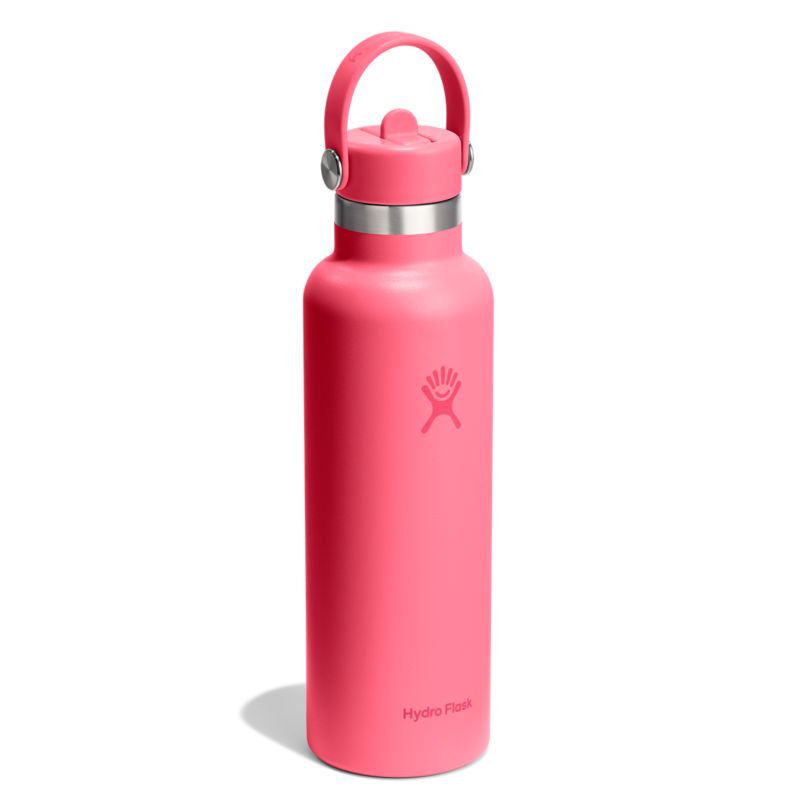 Hydro Flask 21 oz Standard Flex Cup Trinkflasche