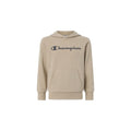 Champion Hooded Sweatshirt Pullover