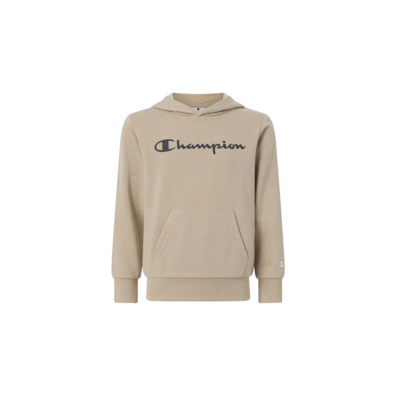 Champion Hooded Sweatshirt Pullover