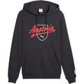 Puma Österreich FtblCulture Hoodie Pullover