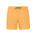 Protest Culture JR Badeshort