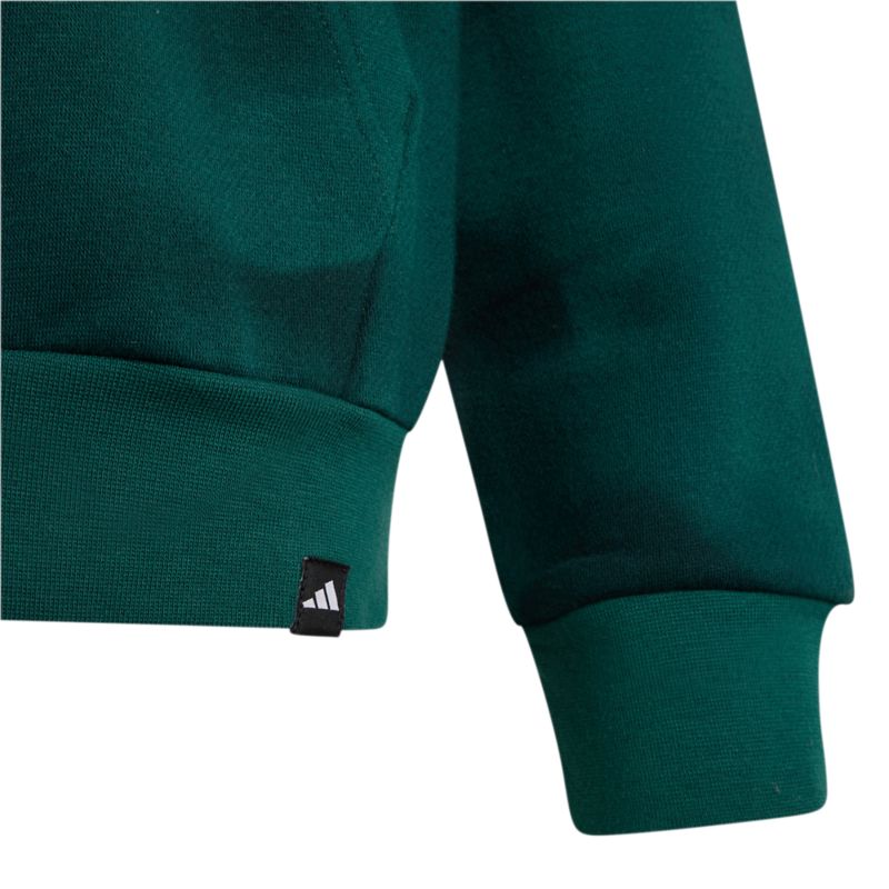 Adidas Terrex K Mt Aop Log Hd Pullover