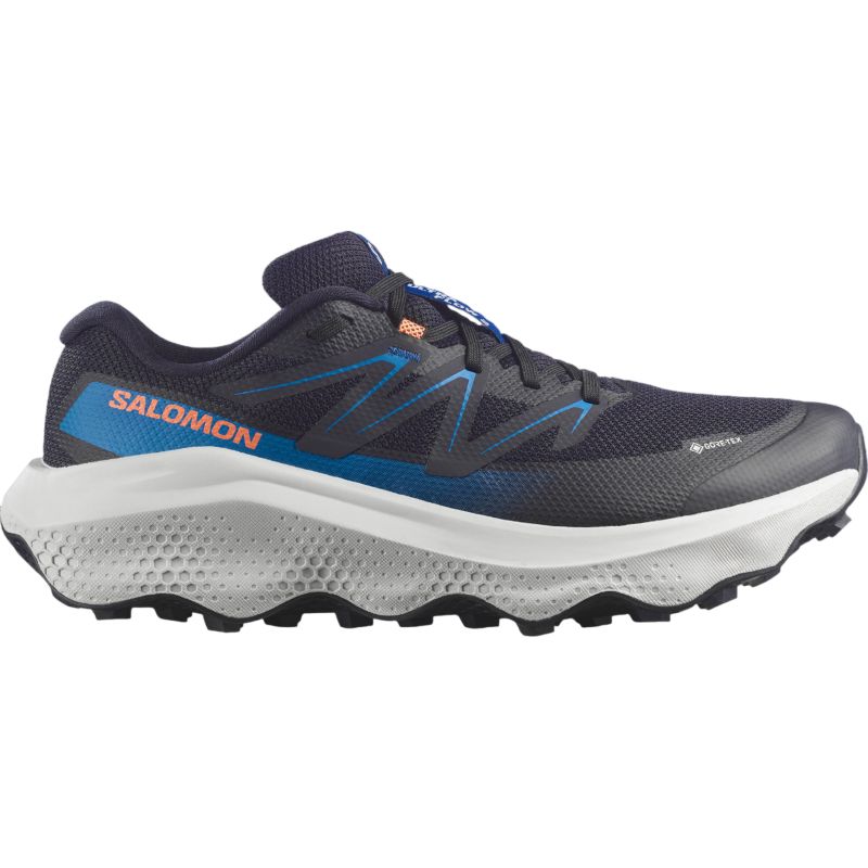 Salomon ULTRA FLOW 2 GTX Laufschuh